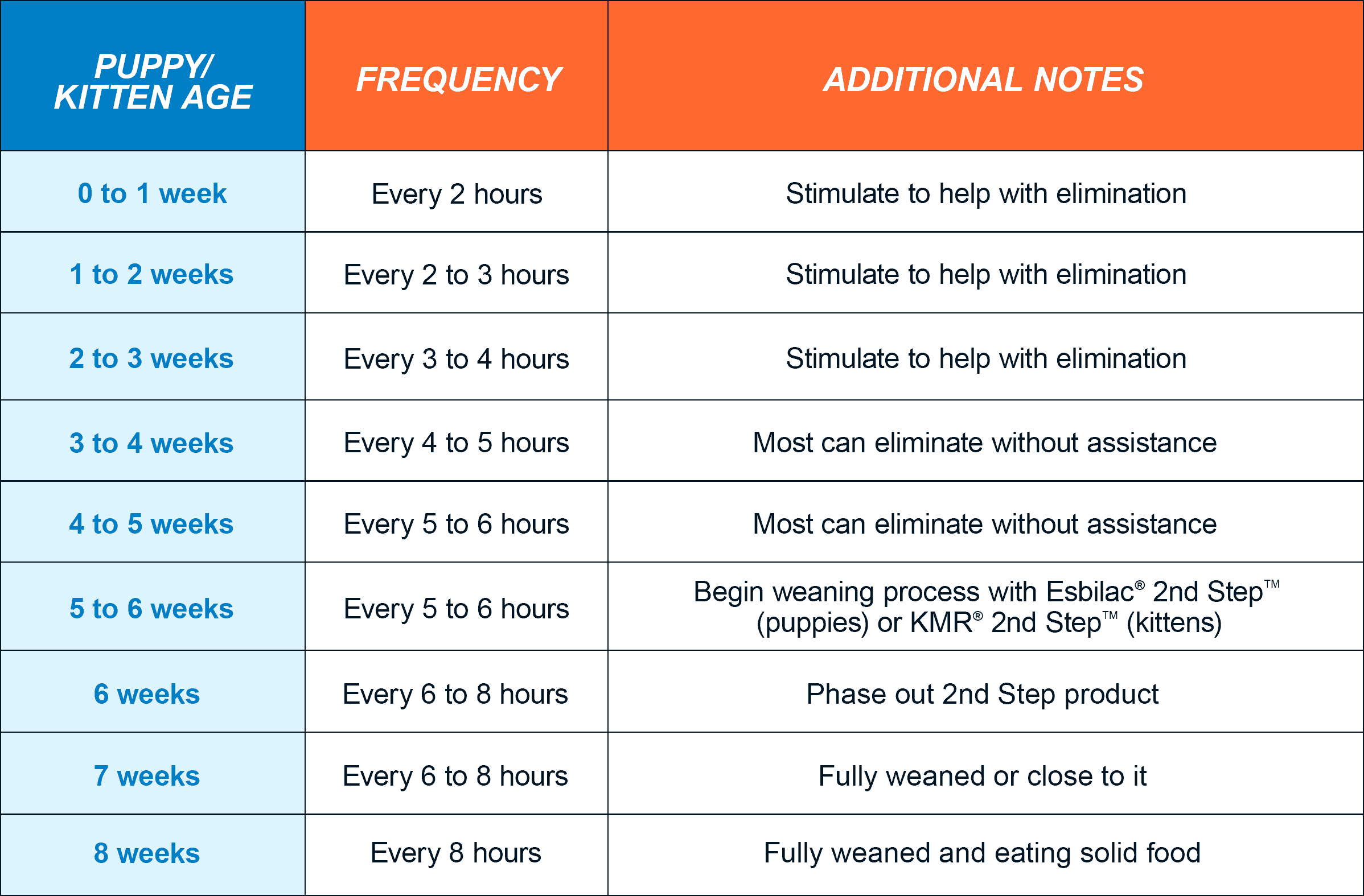 what are the best times to feed a puppy