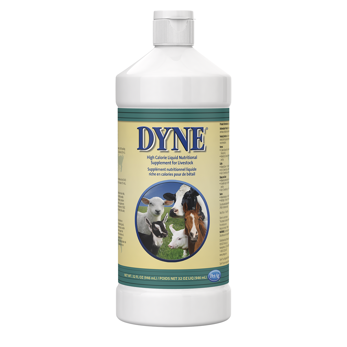 Dyne supplement 2025