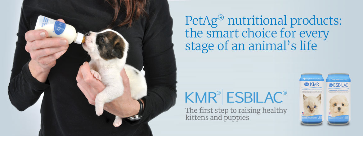 Woman feeding a puppy, featured products KMR® | Esbilac® Woman feeding a puppy, featured products KMR® | Esbilac®