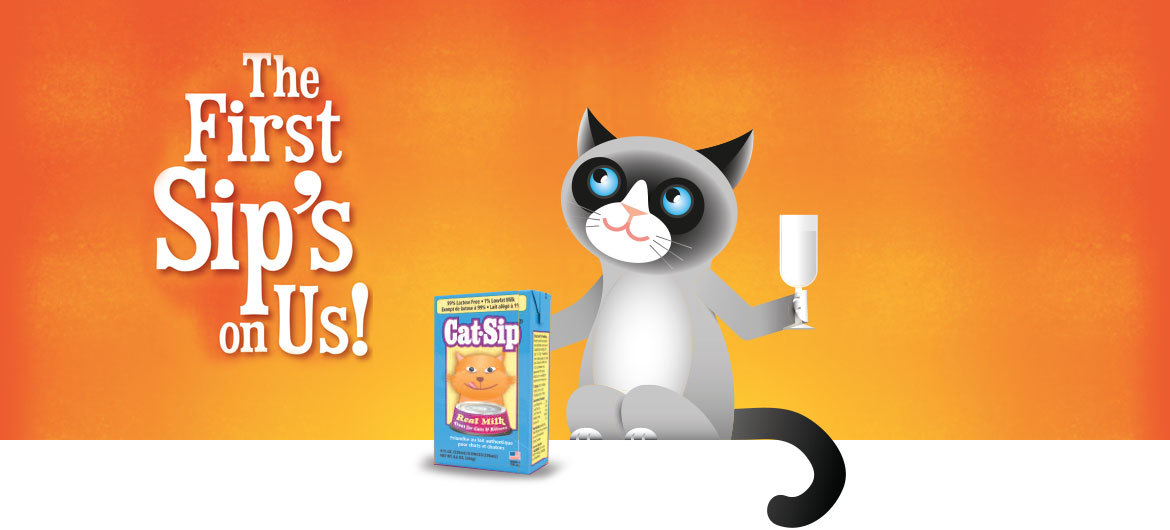 Cat-Sip. The First Sip`s On Us!